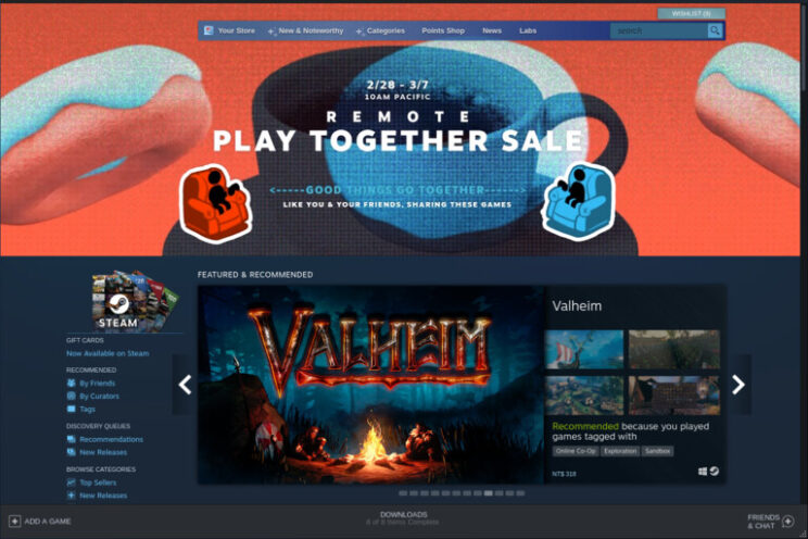 This image shows Steam store page